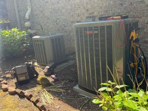 WhatsApp Image 2025-11-02 at 01.16.16 (1)