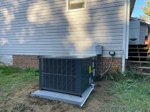 WhatsApp Image 2025-11-02 at 01.16.16 - Copy