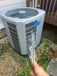 WhatsApp Image 2025-11-20 at 10.25.25_7be19aec