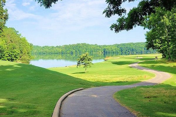 Browns Summit Picture